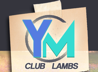 YM Club Lambs